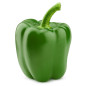 POIVRON VERT 5X1KG